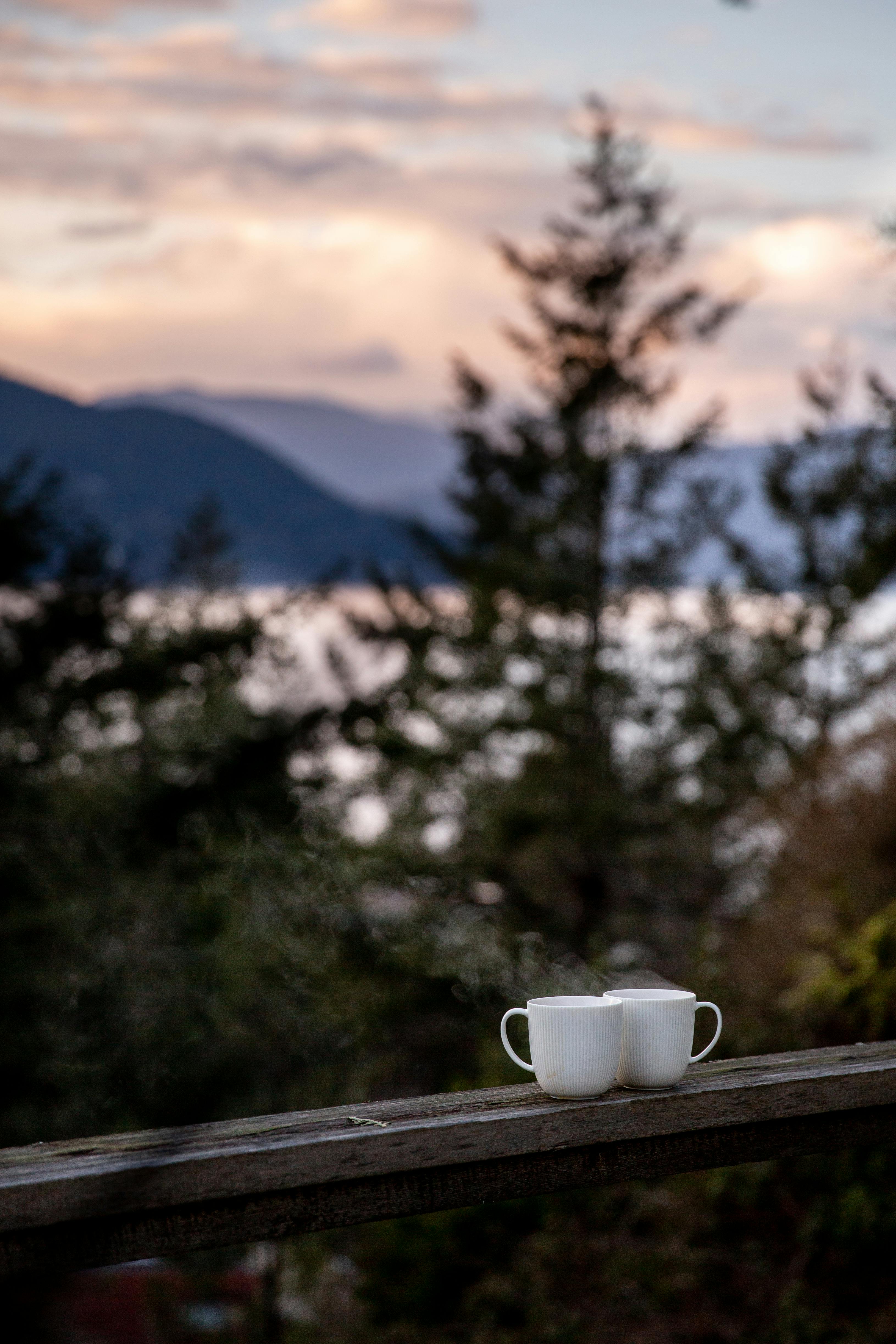 Two white cups on a wooden ledge with a scenic background of mountains and trees.